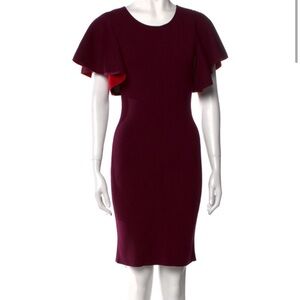 Elegant Burgundy Dress